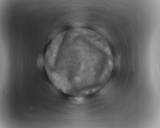 X0000103250478200809181608
