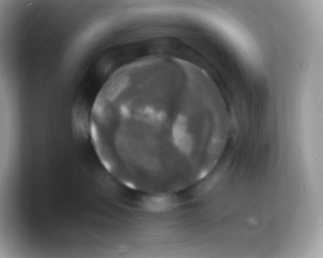 X0000103250479200809181608