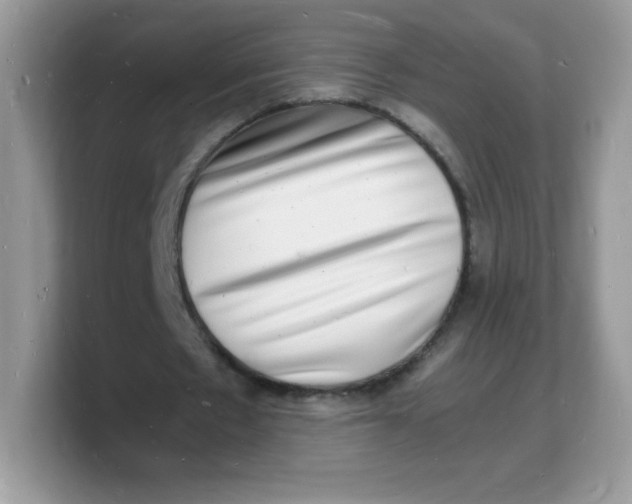 X0000103250481200809181608