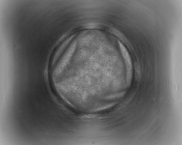 X0000103250482200809181608