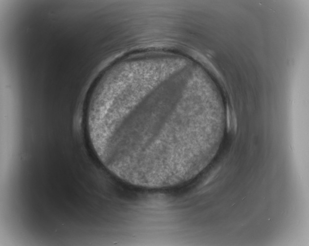X0000103250483200809181608