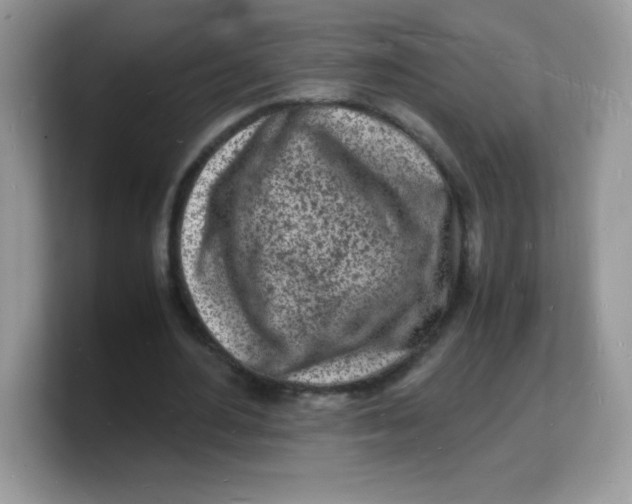 X0000103250484200809181608