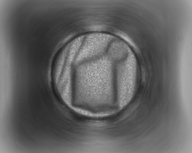 X0000103250486200809181608