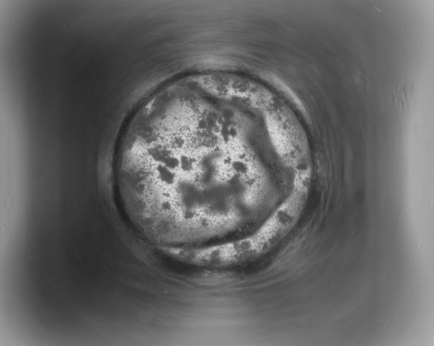 X0000103250487200809181608