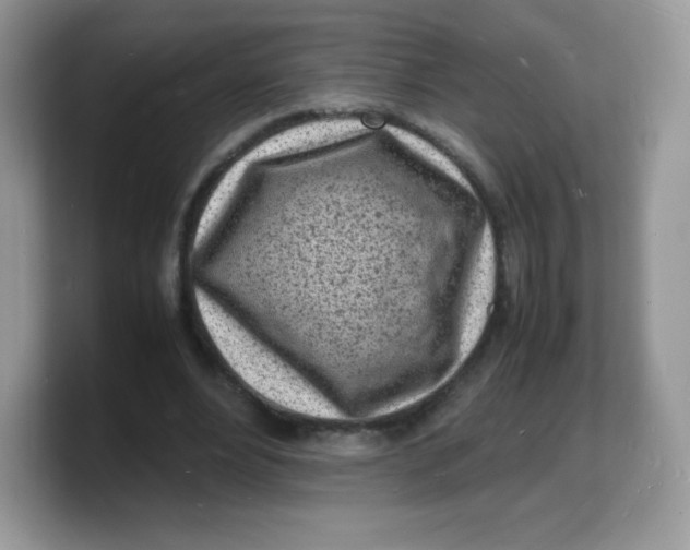 X0000103250488200809181608