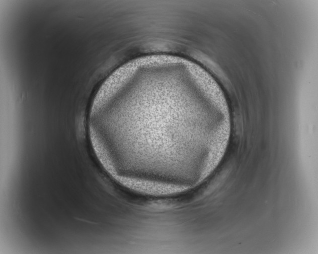 X0000103250489200809181608