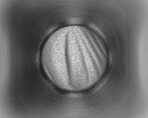 X0000103250490200809181608