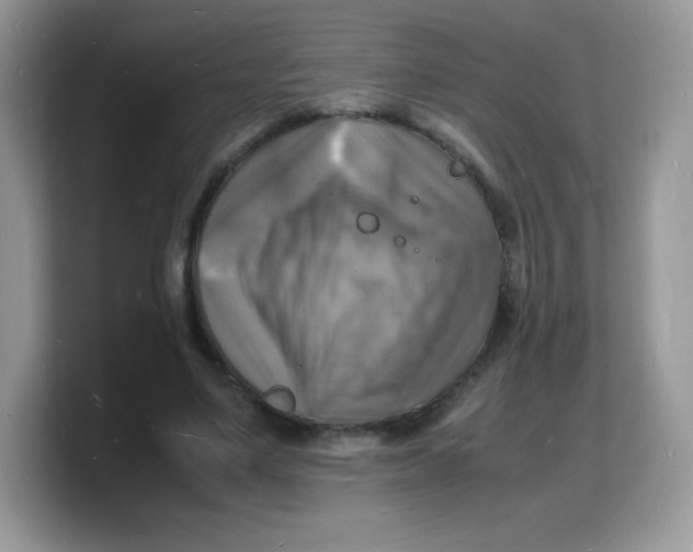X0000103250491200809181608