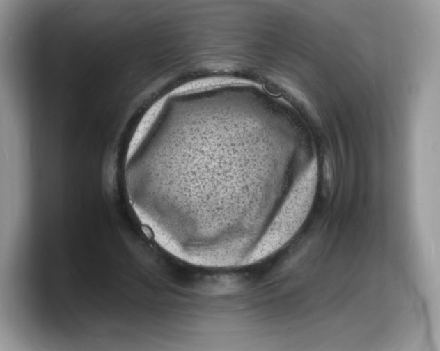 X0000103250492200809181607