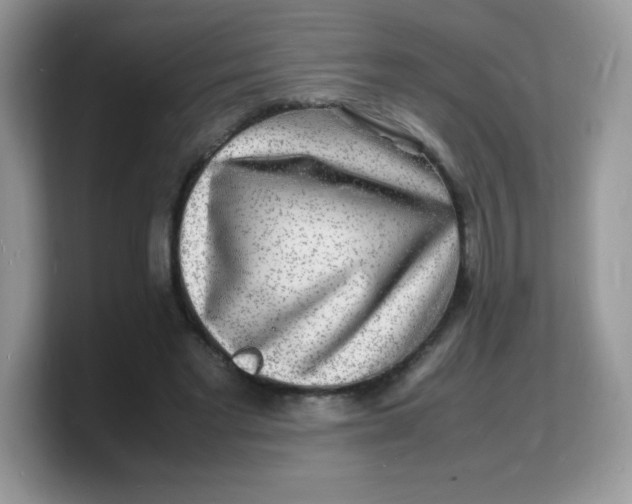 X0000103250493200809181607