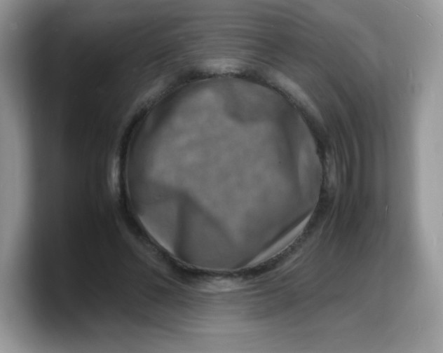 X0000103250494200809181607