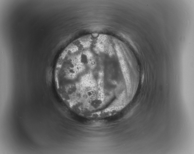 X0000103250495200809181607