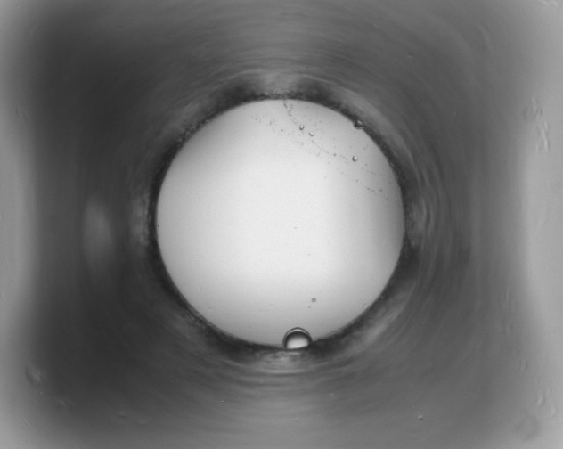 X0000103250497200809181607