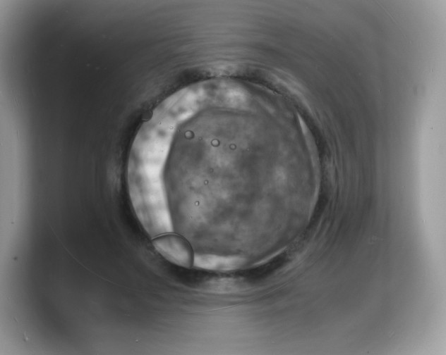 X0000103250499200809181607