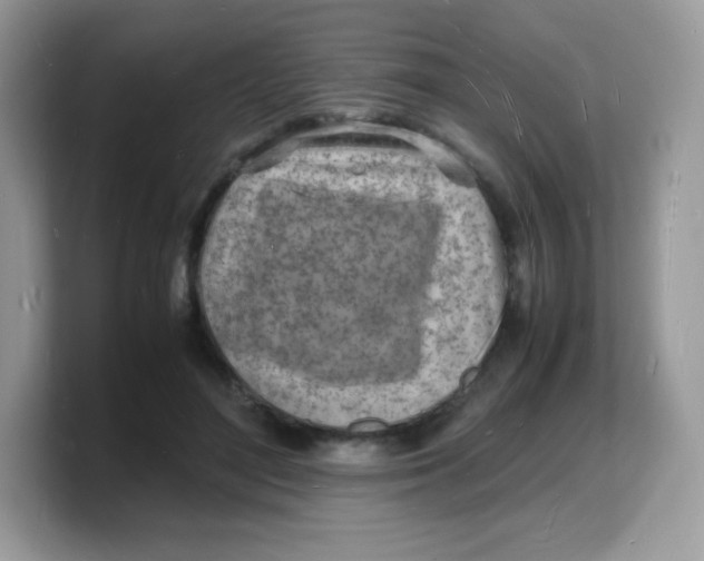 X0000103250500200809181607