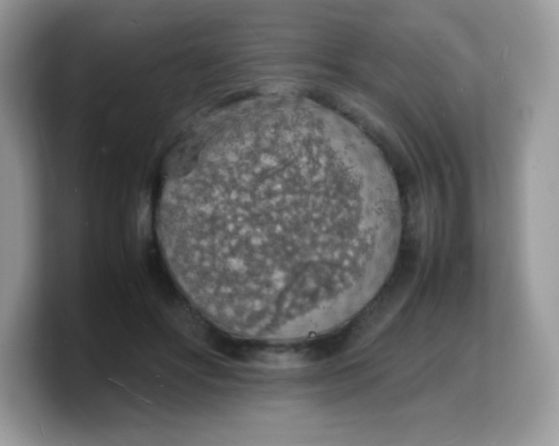 X0000103250502200809181607