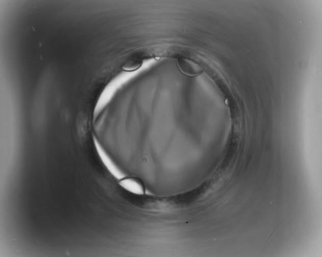 X0000103250503200809181607