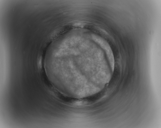 X0000103250504200809181607