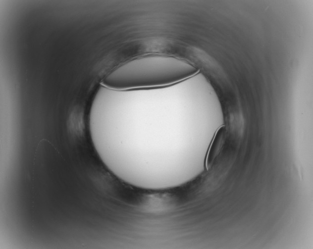X0000103250508200809181607
