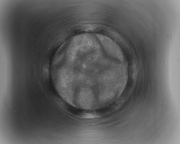 X0000103250510200809181607