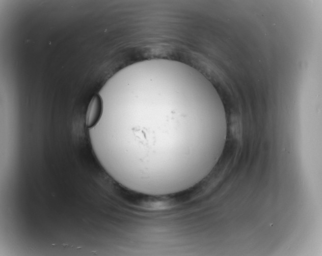 X0000103250514200809181607