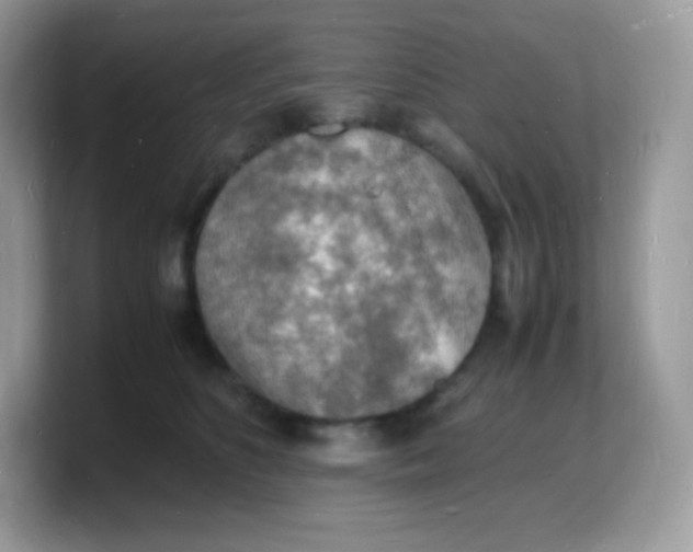 X0000103250516200809181607