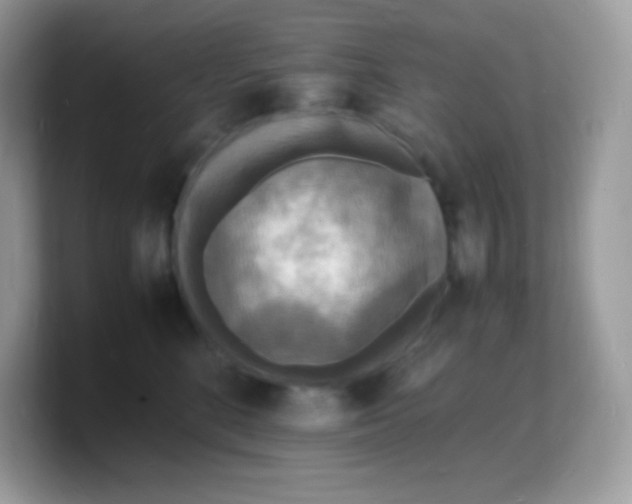 X0000103250520200809181607