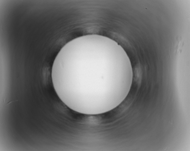 X0000103250522200809181607