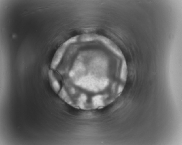 X0000103250523200809181607