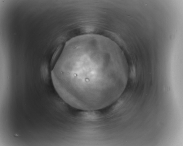 X0000103250524200809181607