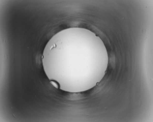 X0000103250525200809181607