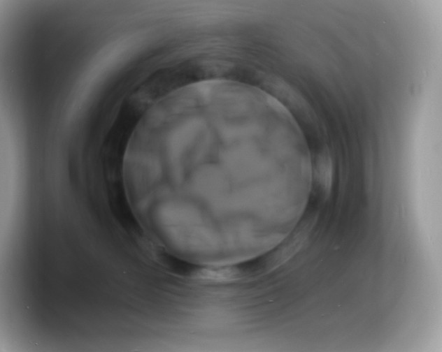 X0000103250526200809181607