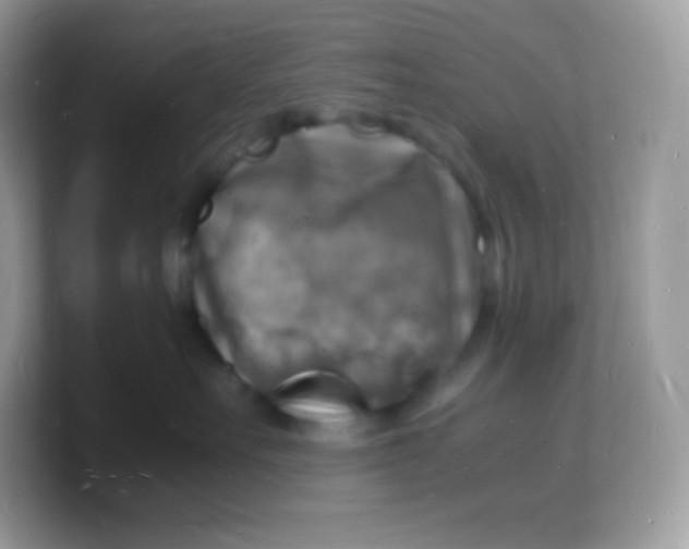 X0000103250527200809181607