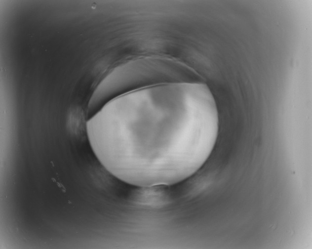 X0000103250528200809181607
