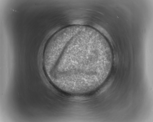 X0000103250529200809181606