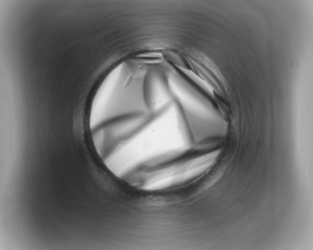 X0000103250530200809181606