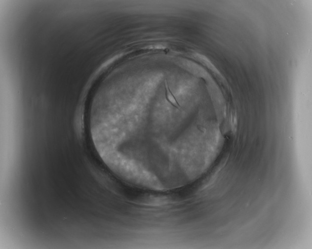 X0000103250531200809181606