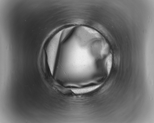 X0000103250532200809181606