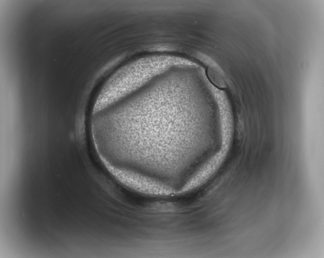 X0000103250535200809181606