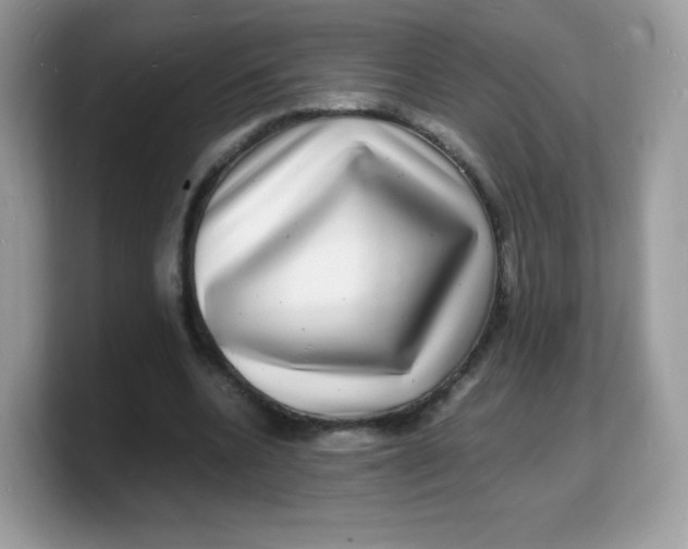 X0000103250536200809181606