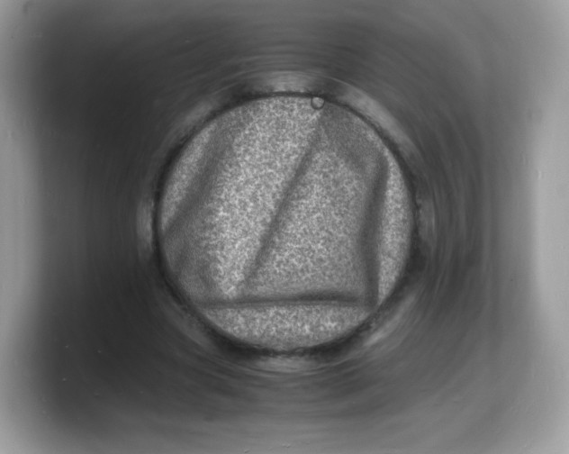 X0000103250537200809181606