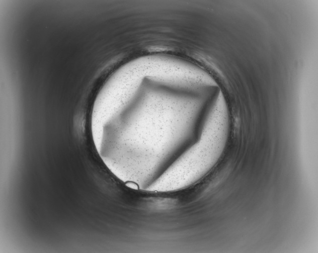 X0000103250539200809181606