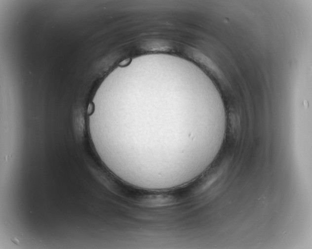 X0000103250541200809181606