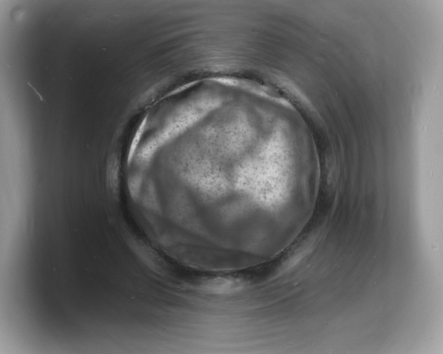 X0000103250542200809181606