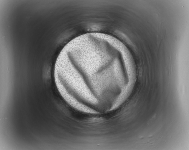 X0000103250543200809181606