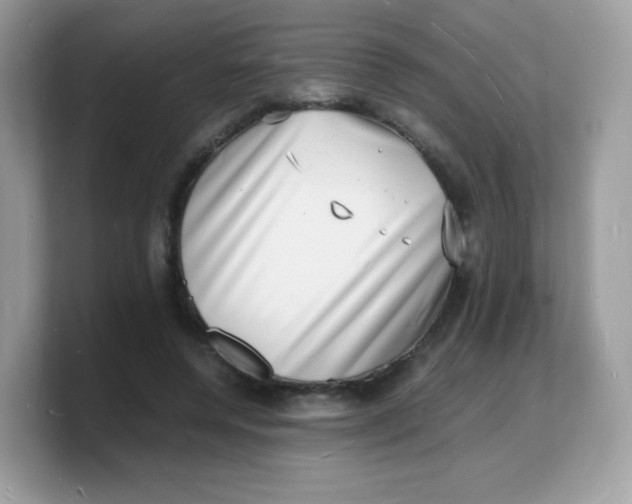 X0000103250544200809181606