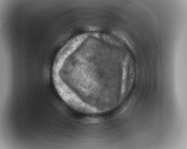 X0000103250545200809181607