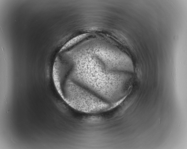 X0000103250546200809181607
