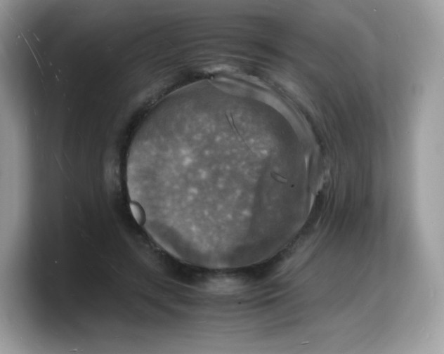 X0000103250547200809181607
