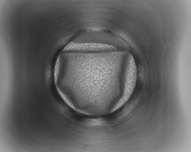 X0000103250548200809181607